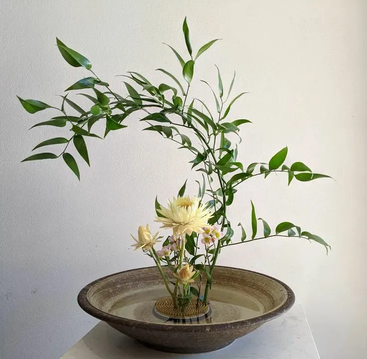 ایکبانا گل آرایی ژاپنی